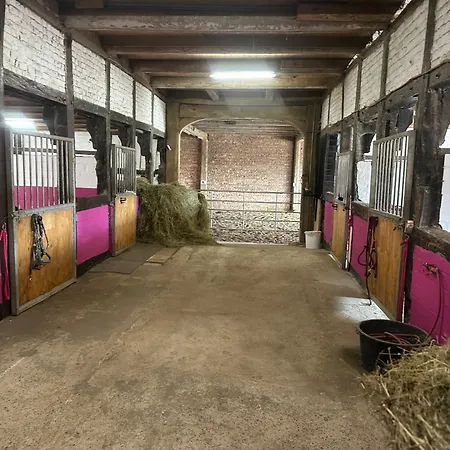 Tipi Zelt Auf Dem Ponyhof Roos Halle (Holzminden)