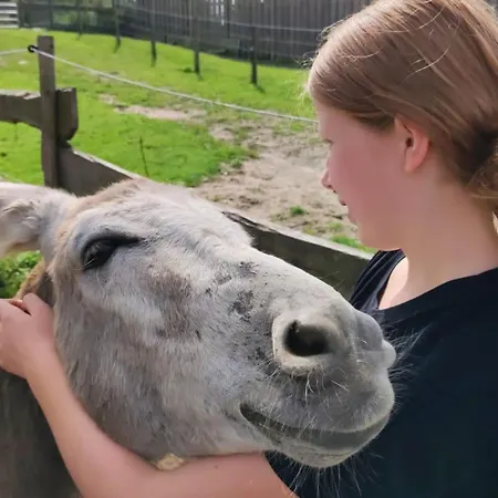 Tente de luxe Tipi Zelt Auf Dem Ponyhof Roos Halle (Holzminden)
