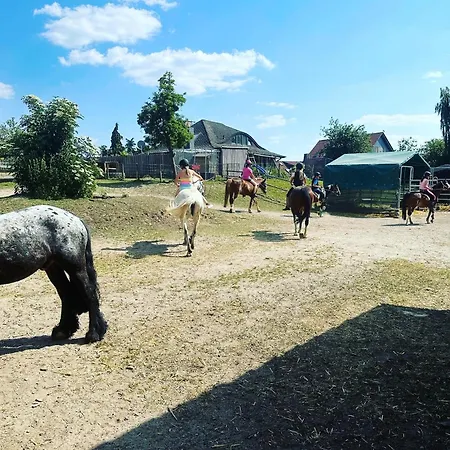 Tipi Zelt Auf Dem Ponyhof Roos Halle (Holzminden)