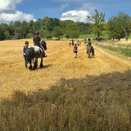 Tipi Zelt Auf Dem Ponyhof Roos Tente de luxe Halle (Holzminden)