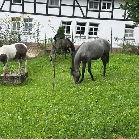Tipi Zelt Auf Dem Ponyhof Roos Halle (Holzminden)