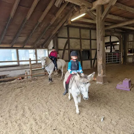 Tipi Zelt Auf Dem Ponyhof Roos *