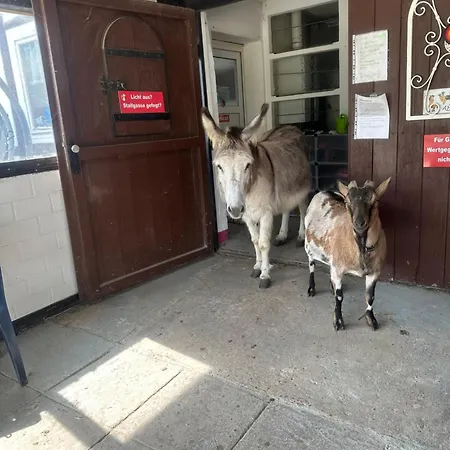 Tipi Zelt Auf Dem Ponyhof Roos Tente de luxe *